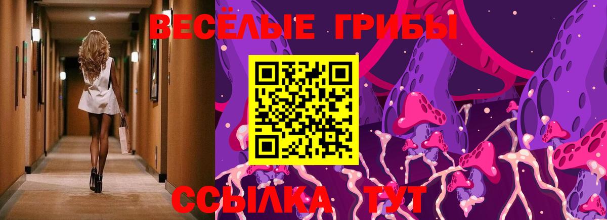 Нарткала  Псилоцибиновые грибы Psilocybe  Вход с VPN 