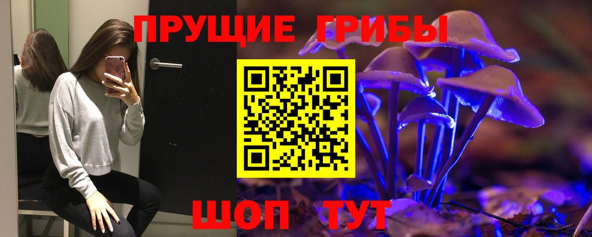 Псилоцибиновые грибы Cubensis Нарткала
